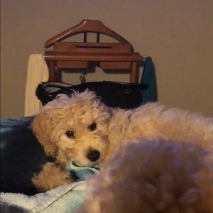 Meet your Posher, Kim